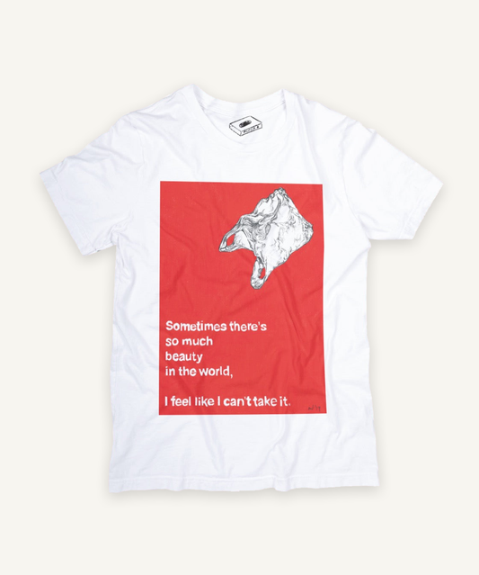 american beauty T-shirt on ivory background with natural shadow