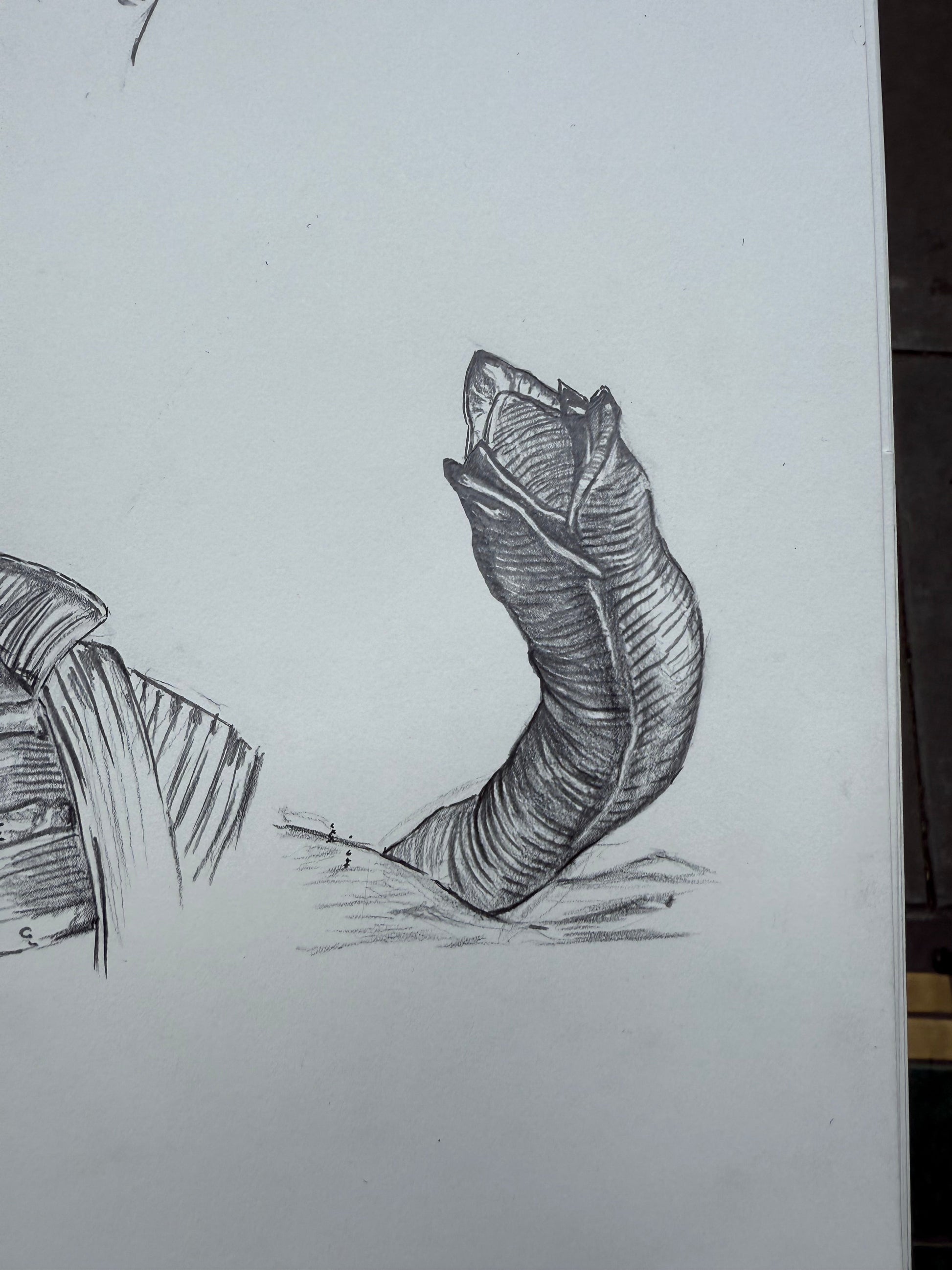 Original DUNE drawing // DAVID LYNCH series 21 of 26 - Art Print